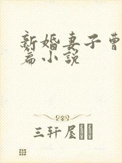 新婚妻子曹仁全篇小说封面