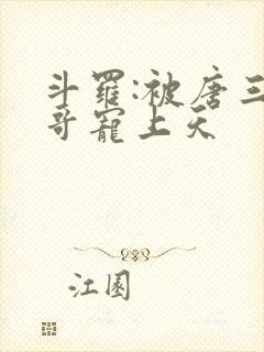 斗罗:被唐三哥哥宠上天