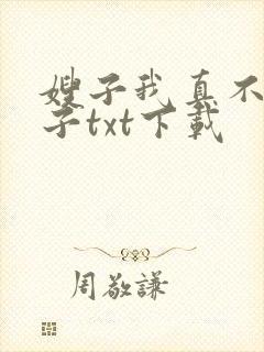 嫂子我真不是傻子txt下载