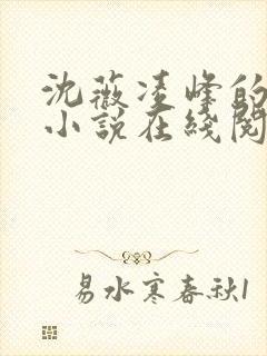 沈薇凌峰的官场小说在线阅读