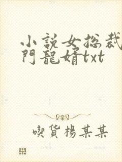 小说女总裁的上门龙婿txt
