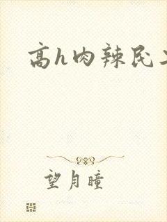 高h肉辣民工文