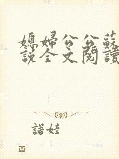 媳妇公公苏晴小说全文阅读