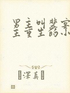 男主叫裴宴,女主重生的小说
