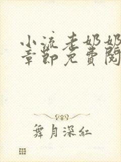 小流老奶奶最新章节免费阅读