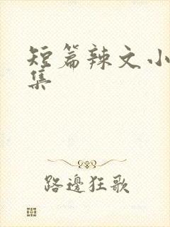 短篇辣文小说合集