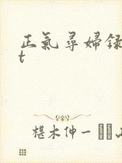 正气寻妇录txt