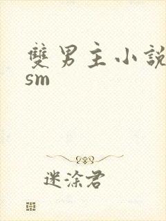 双男主小说调教sm