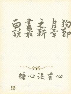 白昼之月狗子小说最新章节免费阅读封面