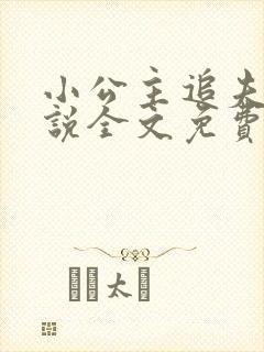 小公主追夫记小说全文免费阅读