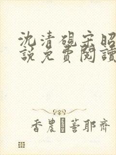 沈清砚宋昭汐小说免费阅读最新章节封面