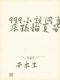 999小说网叶辰孙怡夏若雪