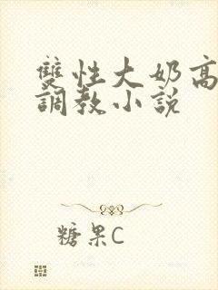 双性大奶高嗨黄调教小说