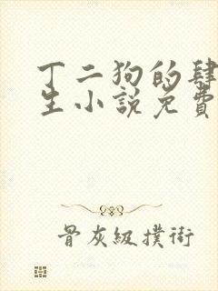 丁二狗的肆意人生小说免费阅读