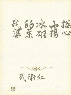 我的冰山总裁老婆叶雄杨心怡封面