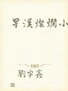 星汉灿烂小说