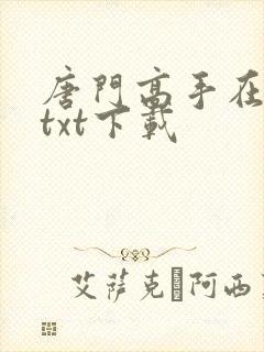 唐门高手在异世txt下载