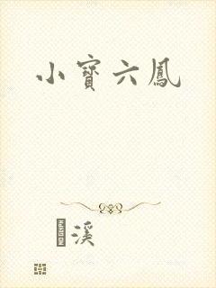 小宝六凤