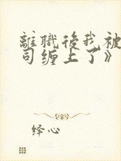 离职后我被前上司缠上了》