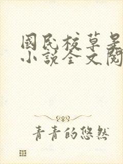 国民校草是女生小说全文阅读