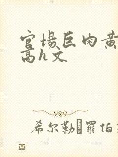 官场巨肉黄暴辣高h文