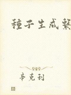 种子生成系统封面