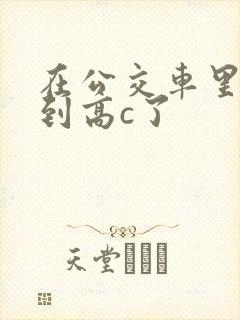 在公交车里c弄到高c了