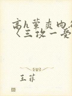 高h荤爽肉欲文〈三攻一受