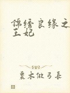 锦绣良缘之北地王妃