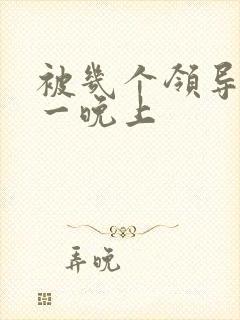 被几个领导玩弄一晚上