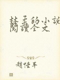 林柔的小说在线阅读全文