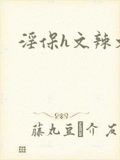 淫保h文辣文封面