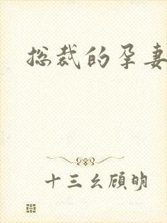 总裁的孕妻
