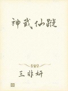 神武仙踪封面