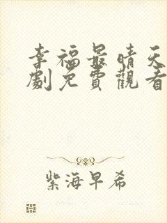 幸福最晴天电视剧免费观看全集