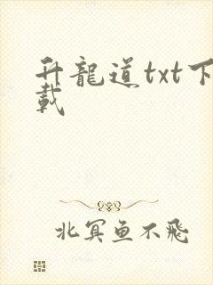 升龙道txt下载