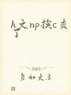 h文np挨c爽了
