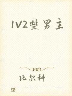 1V2双男主