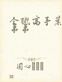 全职高手叶修的弟弟