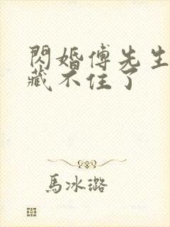 闪婚傅先生马甲藏不住了封面