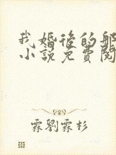 我婚后的那几年小说免费阅读