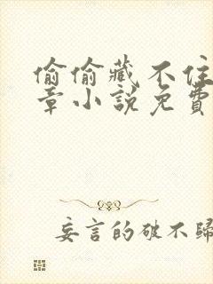 偷偷藏不住77章小说免费阅读
