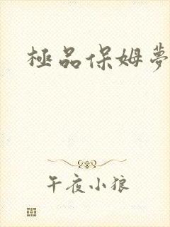 极品保姆梦梦封面