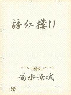 诱红楼11封面