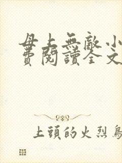 母上无敌小说免费阅读全文最新章节