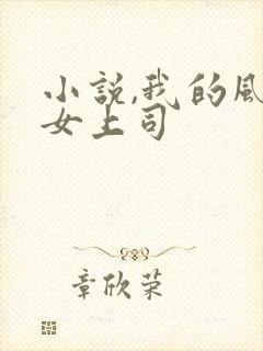 小说,我的风情女上司封面