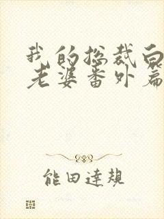 我的总裁白富美老婆番外篇
