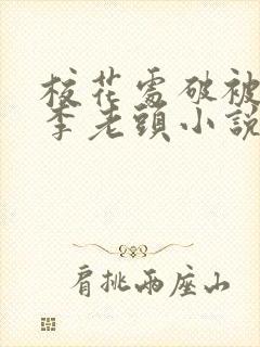 校花处破被灌满李老头小说封面