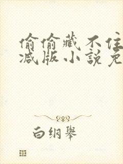 偷偷藏不住无删减版小说免费