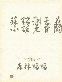 苏铭渊天焱皇朝小说免费阅读
